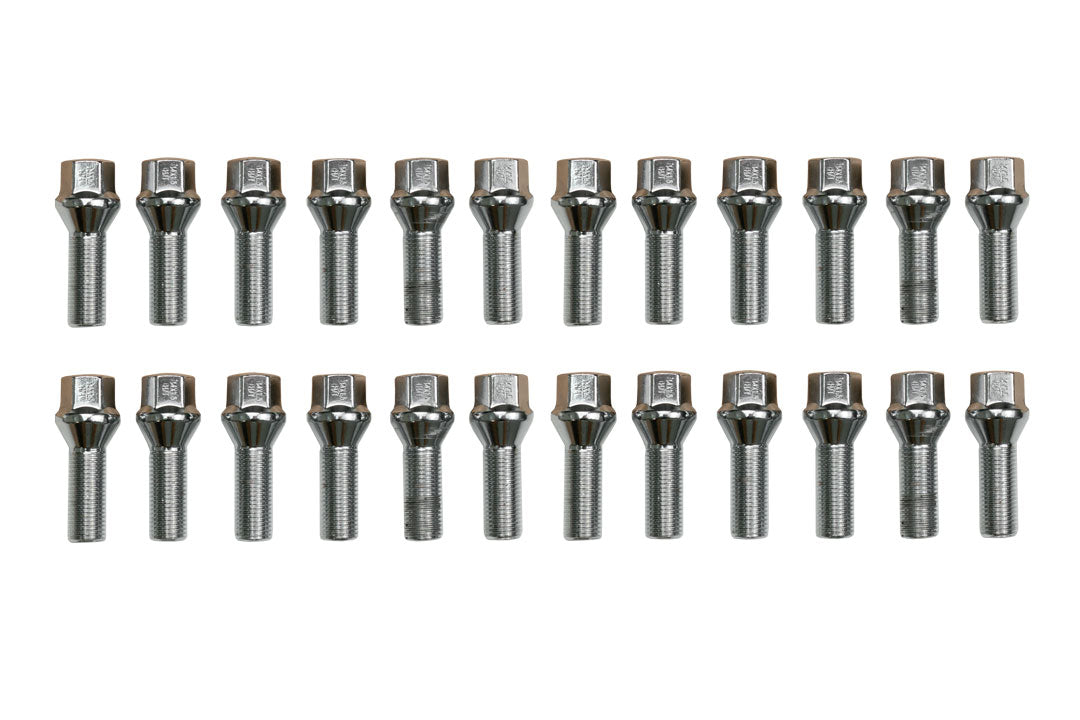 SPRINTER LUG BOLT KIT, SILVER